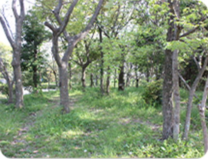 【短期】竜洋昆虫自然観察公園スタッフ　
